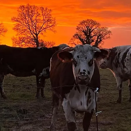 Gites Le Bisson Heussé Exterior foto